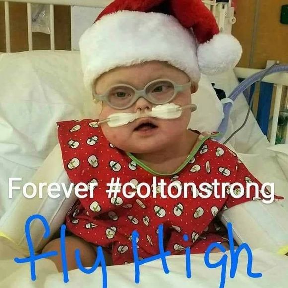 Meet your Posher, Kara - Picture 1 of 1